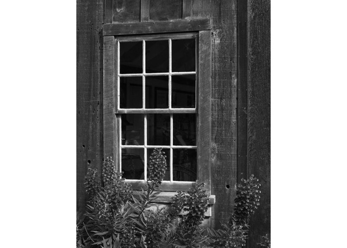 Cabin Window