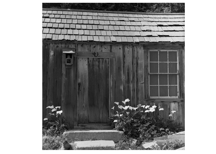 Coastal Cabin - California
