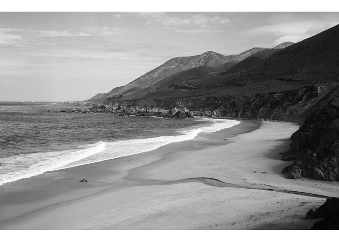 Garrapata Beach surfer and dog