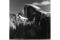 Half Dome - Spring