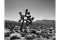 Joshua Tree near Death Valley