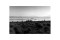 Mono Lake Sunrise