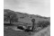 Windmill near Hollister Ca